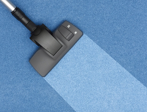 Carpet Cleaners Southchase FL 