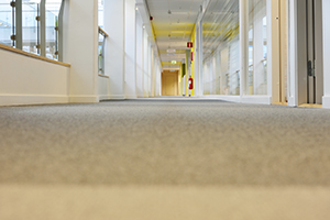 Commercial Carpet Cleaning Clermont FL