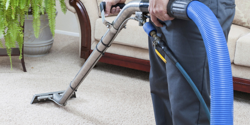 professional carpet cleaning steamer