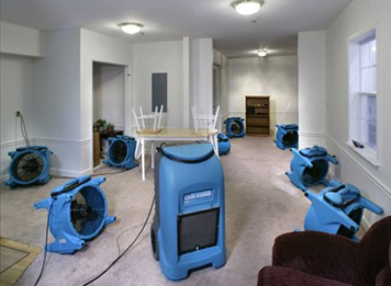industrial fans and other tools drying out a basement as part of sewage/water damage cleanup services