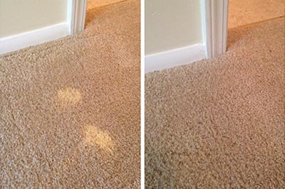 before and after results photo of our carpet stain removal services 