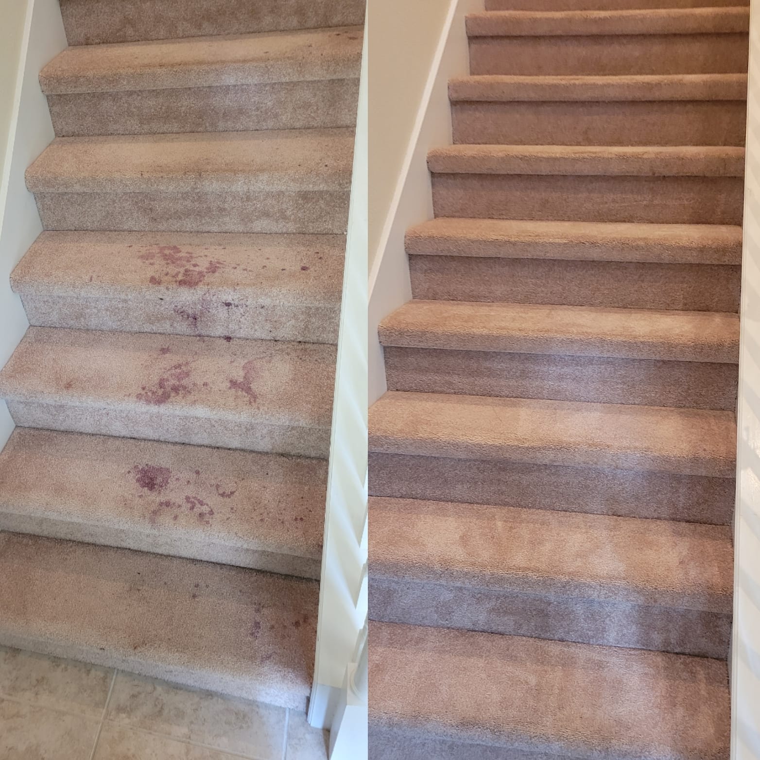Carpet Cleaning Orlando | Commercial & Residential 24/7 EME - Updated_Wine_Picture