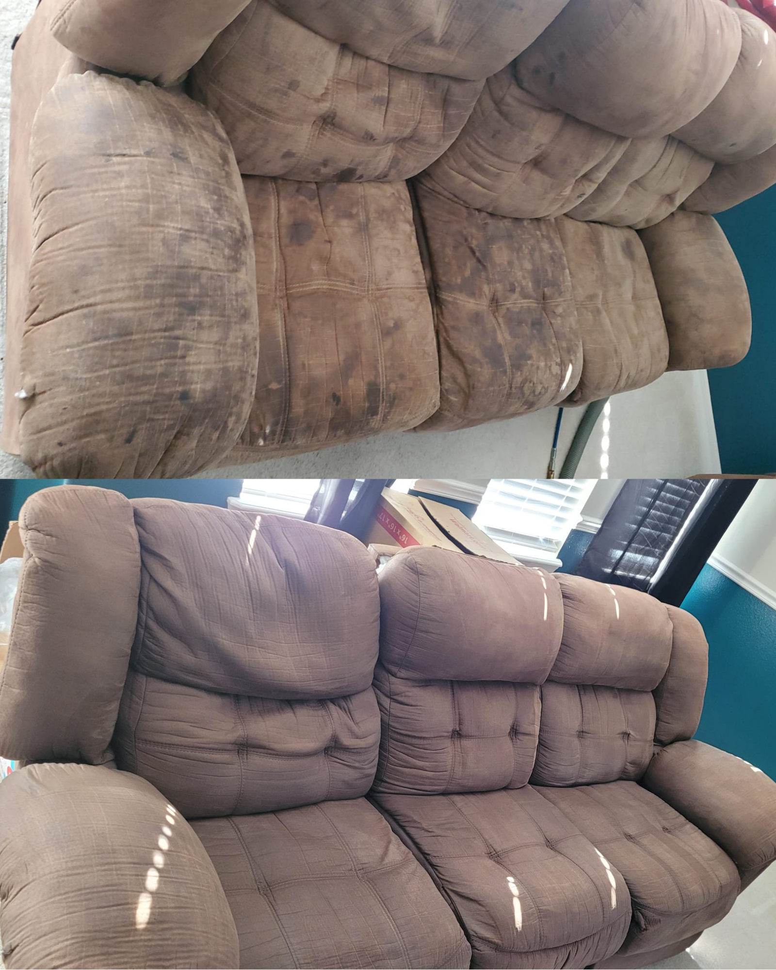 before and after results photo of our professional upholstery cleaning services